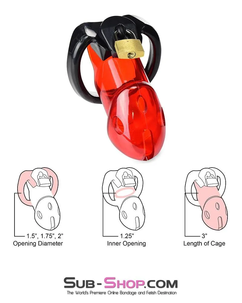 2619R      Caught Red Handed Locking Cock & Ball Chastity Set - MEGA Deal