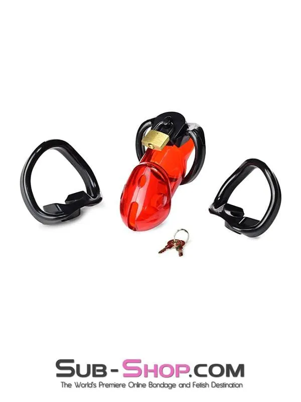 2619R      Caught Red Handed Locking Cock & Ball Chastity Set