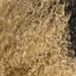 Bobbi Boss M707 Buttercup Wig