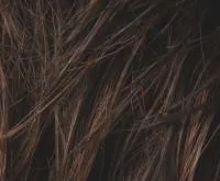 Foxy Mono wig - Ellen Wille Hairpower Collection