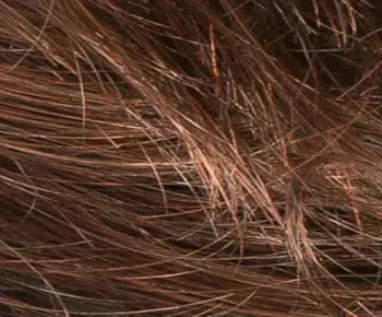 Fresh Mono Part wig - Ellen Wille Hairpower Collection