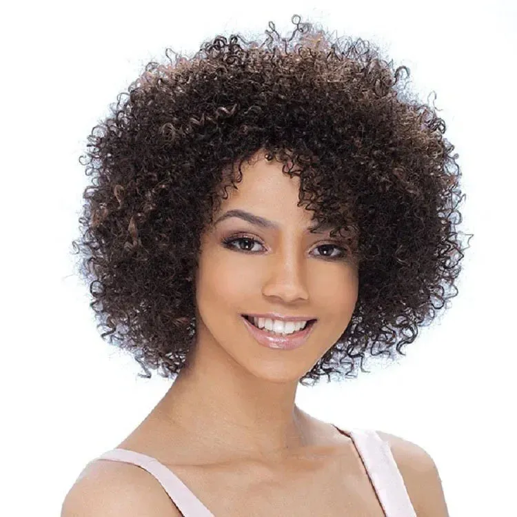 Synthetic Afro Kinky Curly Wigs for Black Women Highlight Wig Bob Brown Wig Curlys African Style Natural African Wig
