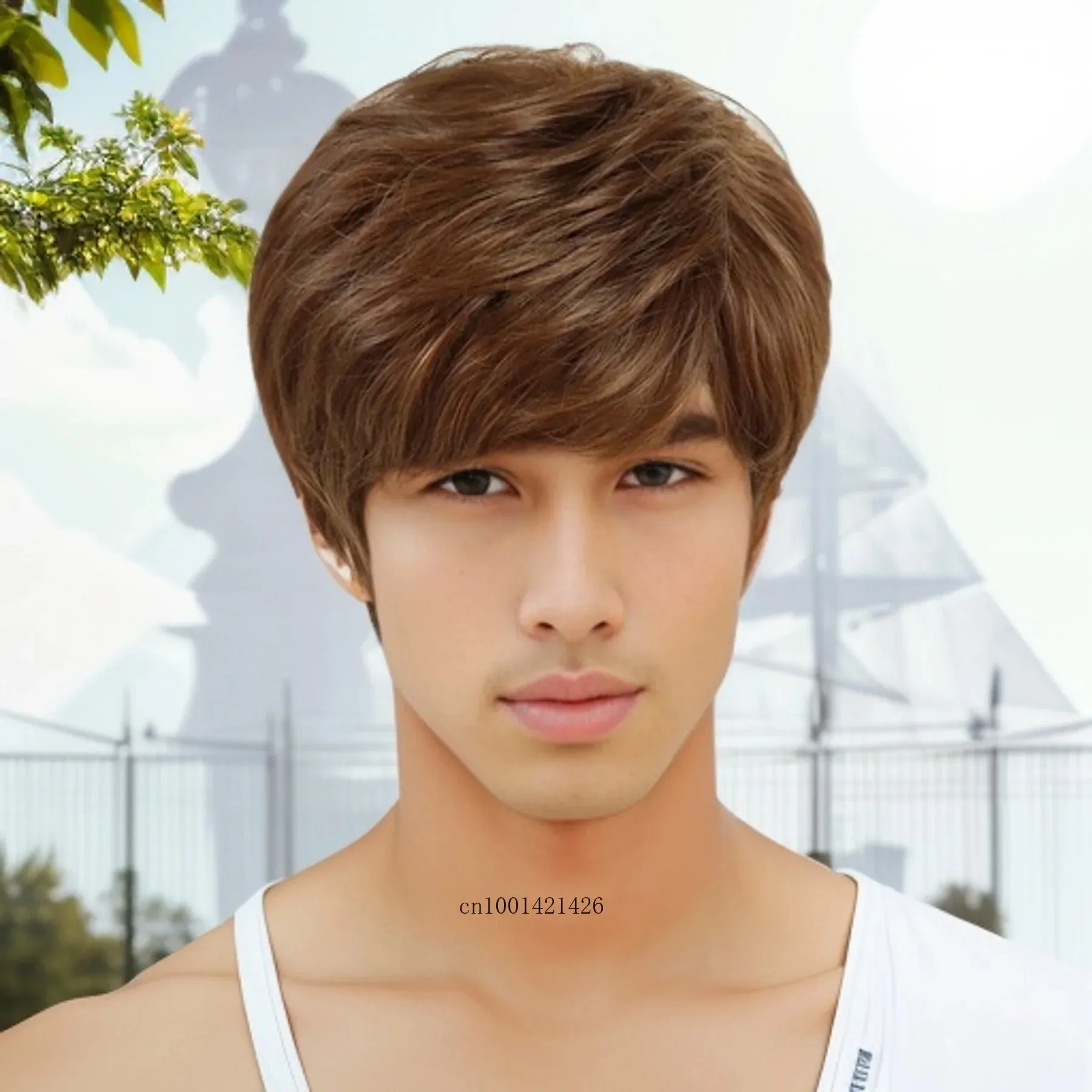Synthetic Hair Wigs for Men Short Haircuts with Bangs Old Fmale Brown Wig Natural Pixie Cuts Hair Replacement Full Wigs Costume