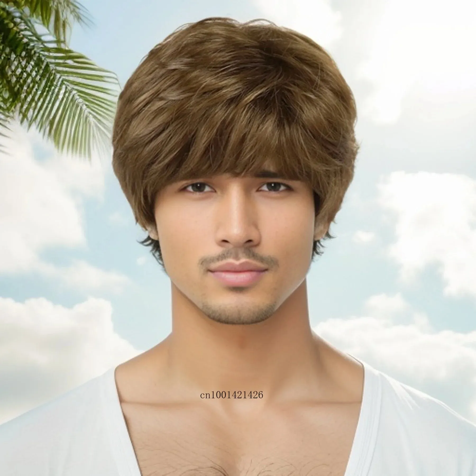 Synthetic Hair Wigs for Men Short Haircuts with Bangs Old Fmale Brown Wig Natural Pixie Cuts Hair Replacement Full Wigs Costume